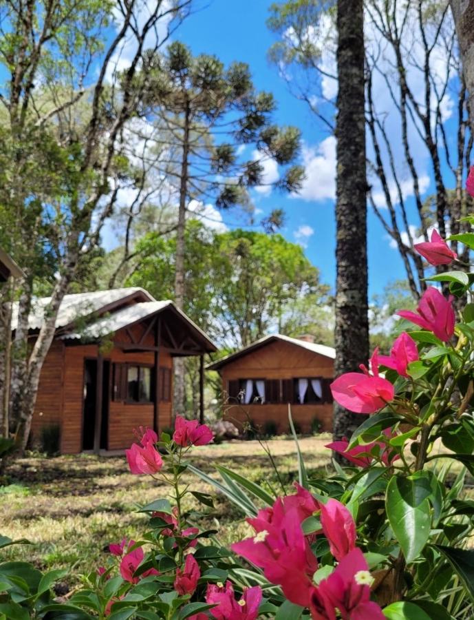 Cabanas Dos Pinheiros Sao Francisco de Paula  Exterior photo