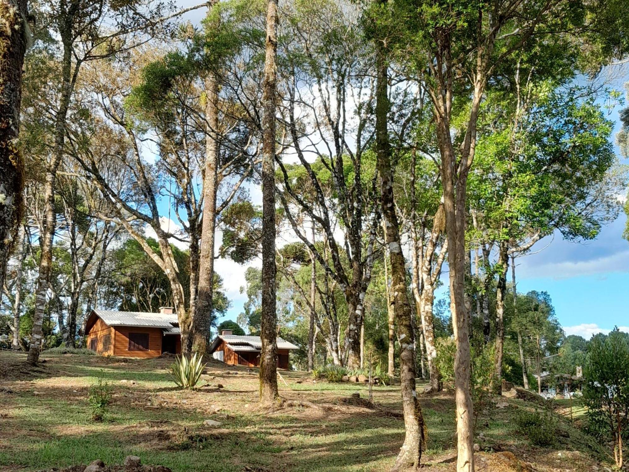 Cabanas Dos Pinheiros Sao Francisco de Paula  Room photo