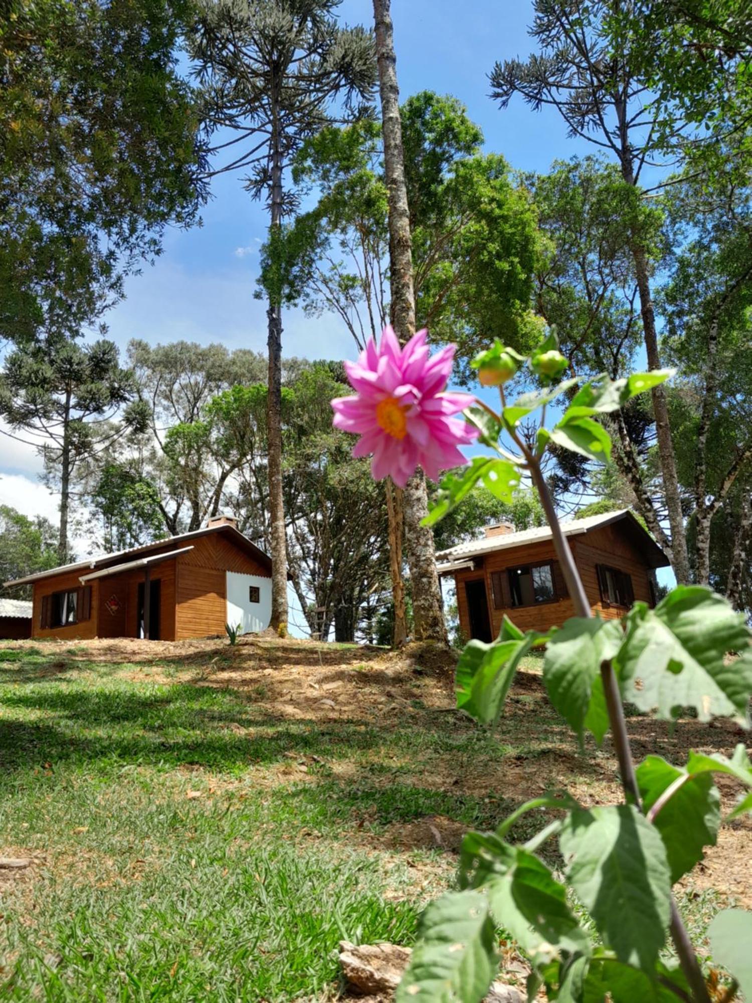 Cabanas Dos Pinheiros Sao Francisco de Paula  Room photo